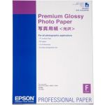 Epson Papel Foto Premium A2 25Fls Glossy