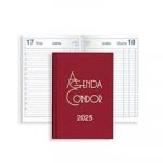 Firmo Agenda Condor 2025 Vermelha Vista Dia 14x21