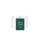 Firmo Agenda Mini Condor 2025 100X160mm Diária Verde