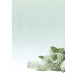 Papel Flores Brancas 90g 20 Fls - 12126
