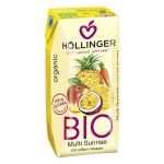 Hollinger Bio Nectar Vários Frutos Bio 200ml