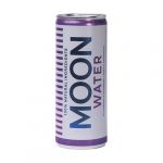 Moon Mate Refrigerante Bio com Sabor de Amora e Mirtilo 250 ml