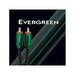 AudioQuest cabo evergreen 2x RCA de 1m