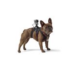 GoPro Arnês para Cão Fetch - ADOGM-001