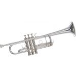 Yamaha Trompete YTR-8445 GS