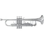 Bach Trompete TR501S
