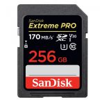 SanDisk 256GB SDXC Extreme Pro 170MB V30 U3 Class 10 - SDSDXXY-256G-GN4IN