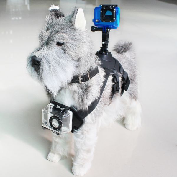 image_thumbnail