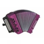 Hohner El Rey Del Vallenato Violet La/Re/Sol
