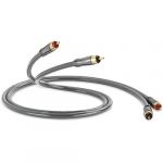 Qed Cabo RCA QED Performance Audio 40i 1m