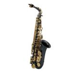 Roy Benson Saxofone Alto AS202K Preto