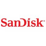 SanDisk 128GB SDHC Ultra 100MB/s Class 10 - SDSDUNR-128G-GN3IN