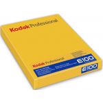 Kodak Ektachrome E100 8X10 Inch (10 Filmes)