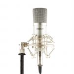 Oneconcept Microfone de Estúdio Mic-700 Ø34mm Com Aranha Filtro Anti Pop XLR Silver
