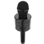 ISO Microfone Karaoke sem Fios Preto - 5EA1E0B3-8CA