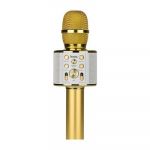 Hoco Multimedia Karaoke Microphone Cool Sound Ktv BK3 Gold