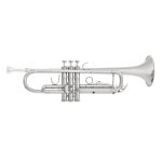 Bach Trompete TR650S