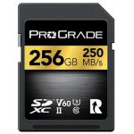 Prograde Cartão de Memória Sdxc (GOLD)256GB-250MB-S V60 Uhs-ii - PGSD256GBKNA