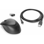 HP Wireless Premium Mouse - 1JR31AA