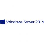 HP MS Windows Server 2019 50DEV CAL en/fr/it/de/es/ja LTU - P11082-B21