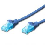 Ewent Cabo Rede Cat5 2m Blue - 8032958189270