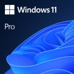 Microsoft Windows 11 Pro 64-bit EN OEM - FQC-10528