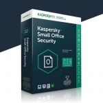 Kaspersky Small Office 2 Servidores + 20 Clientes + 20 Smartphones 1 Ano Download Digital