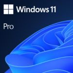 Microsoft Windows 11 Pro 64 Bit Espanhol Licença Permanente FPP USB