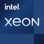 Intel Xeon E-2336 2.9 Ghz