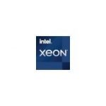 Intel Xeon E-2324G 3.1 GHz 4 cores 4 threads 8 MB cache LGA1200 Socket - BX80708E2324G