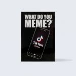 What Do You Meme - Versão Tik Tok (EN)