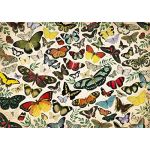 Jumbo Puzzle Butterfly Poster - JU18842