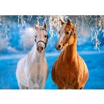 Castorland Puzzle Cavalos de Inverno 260 Peças