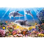 Castorland Puzzle Golfinhos Debaixo D'água 500 Peças