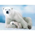 Eurographics Puzzle Urso Polar e o Seu Bebé 1000 Peças