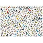 Eurographics Puzzle o Mundo Das Aves 1000 Peças