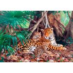 Castorland Puzzle Jaguares Na Selva 3000 Peças