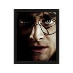 Harry Potter Poster 3D Sherwood Harry Potter Voldemort