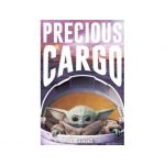 Grupo Erik Poster Star Wars Precious Cargo