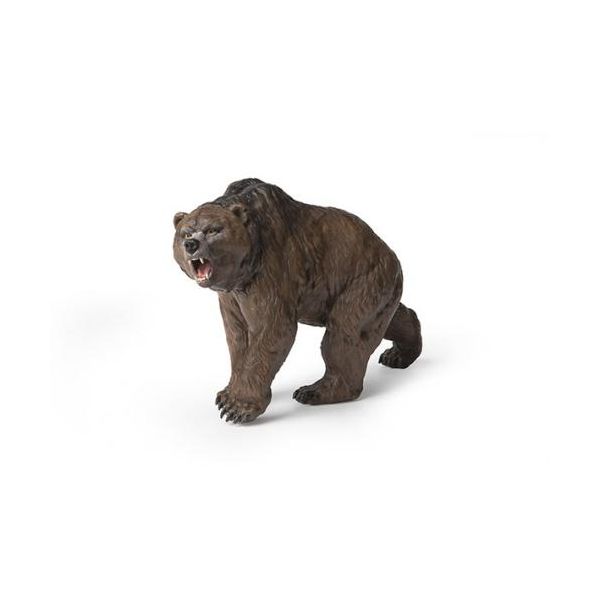 image_thumbnail
