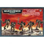 Warhammer 40K 43-13 Chaos Space Marine Raptors