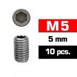 Ultimate M5X5MM Set Screws (10 Pcs) UR164505