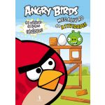 Angry Birds - MegaLivro de Actividades