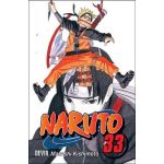 Naruto 33: Missão Secreta