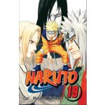 Naruto 19: O Sucessor