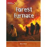 Forest Furnace
