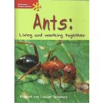 Ants: Living and Working Together