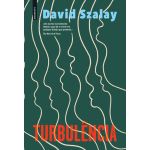 Turbulência