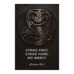 Poster Cobra Kai No Mercy