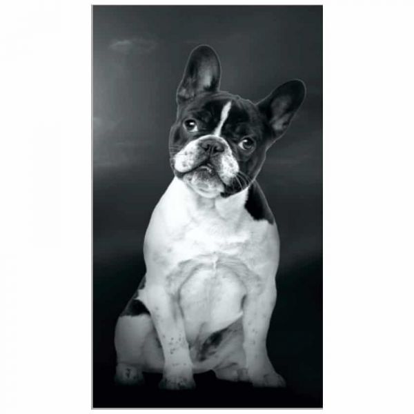 image_thumbnail